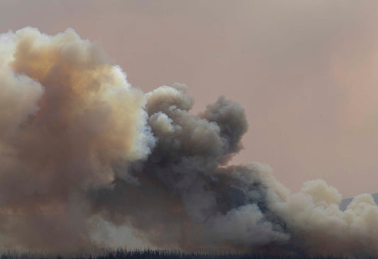 THE SUN SETS MIDAFTERNOON by Jessica Hays