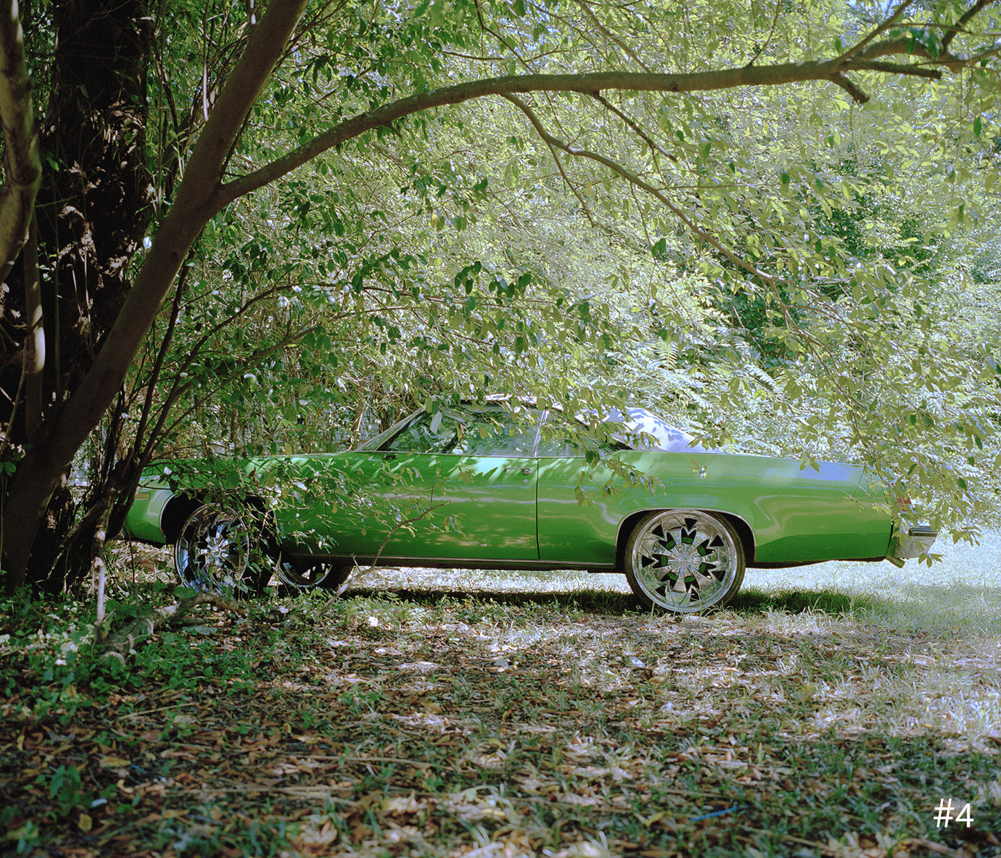 Perpetual Care: Limited Edition with Print by Clay Maxwell Jordan