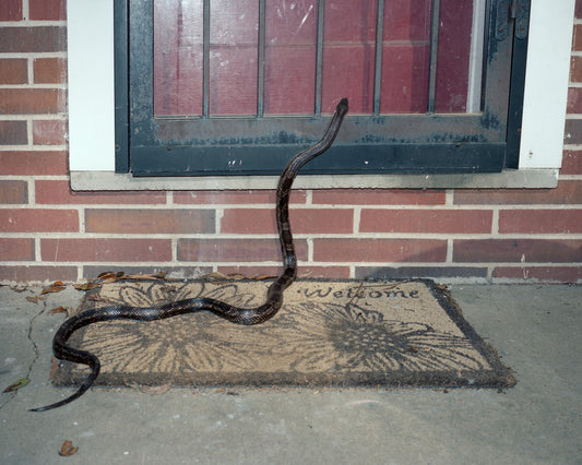 THE 13th SPRING By Aaron Hardin