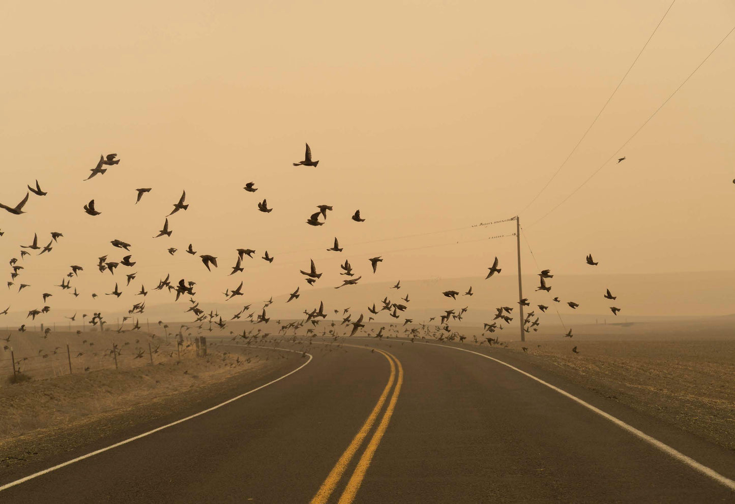 THE SUN SETS MIDAFTERNOON by Jessica Hays