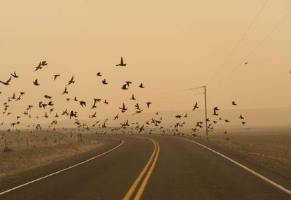 THE SUN SETS MIDAFTERNOON by Jessica Hays