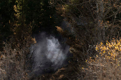 THE SUN SETS MIDAFTERNOON by Jessica Hays