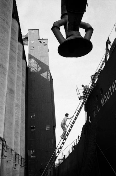 Against the Grain by Mark Maio