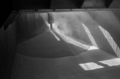 Against the Grain by Mark Maio