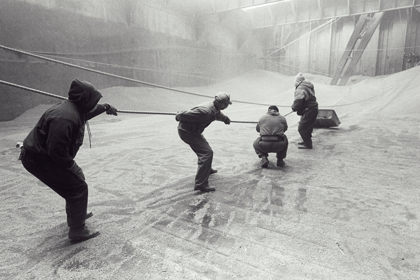 Against the Grain by Mark Maio