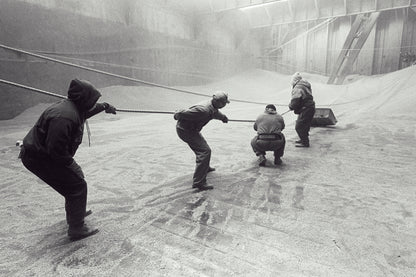 Against the Grain by Mark Maio