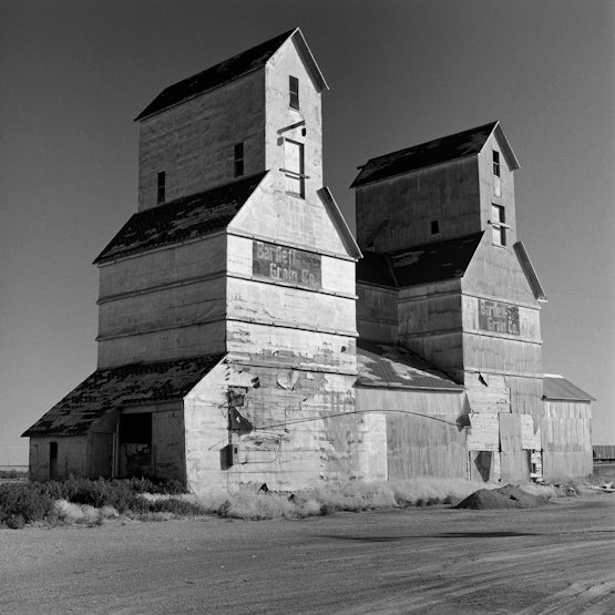 Against the Grain by Mark Maio