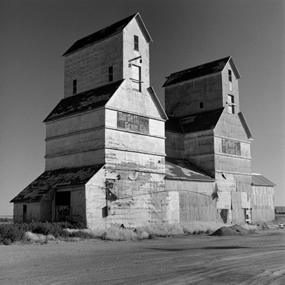 Against the Grain by Mark Maio