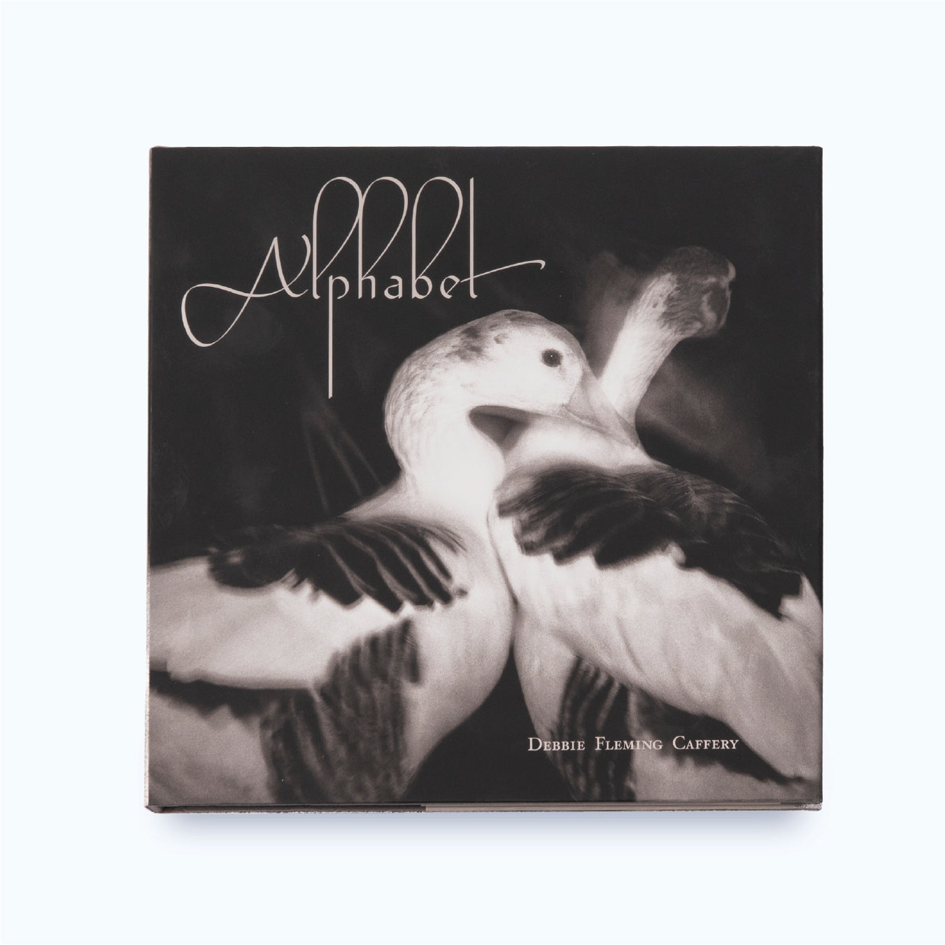ALPHABET by Debbie Fleming Caffery