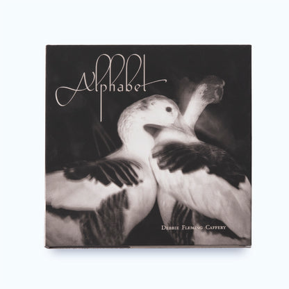 ALPHABET by Debbie Fleming Caffery