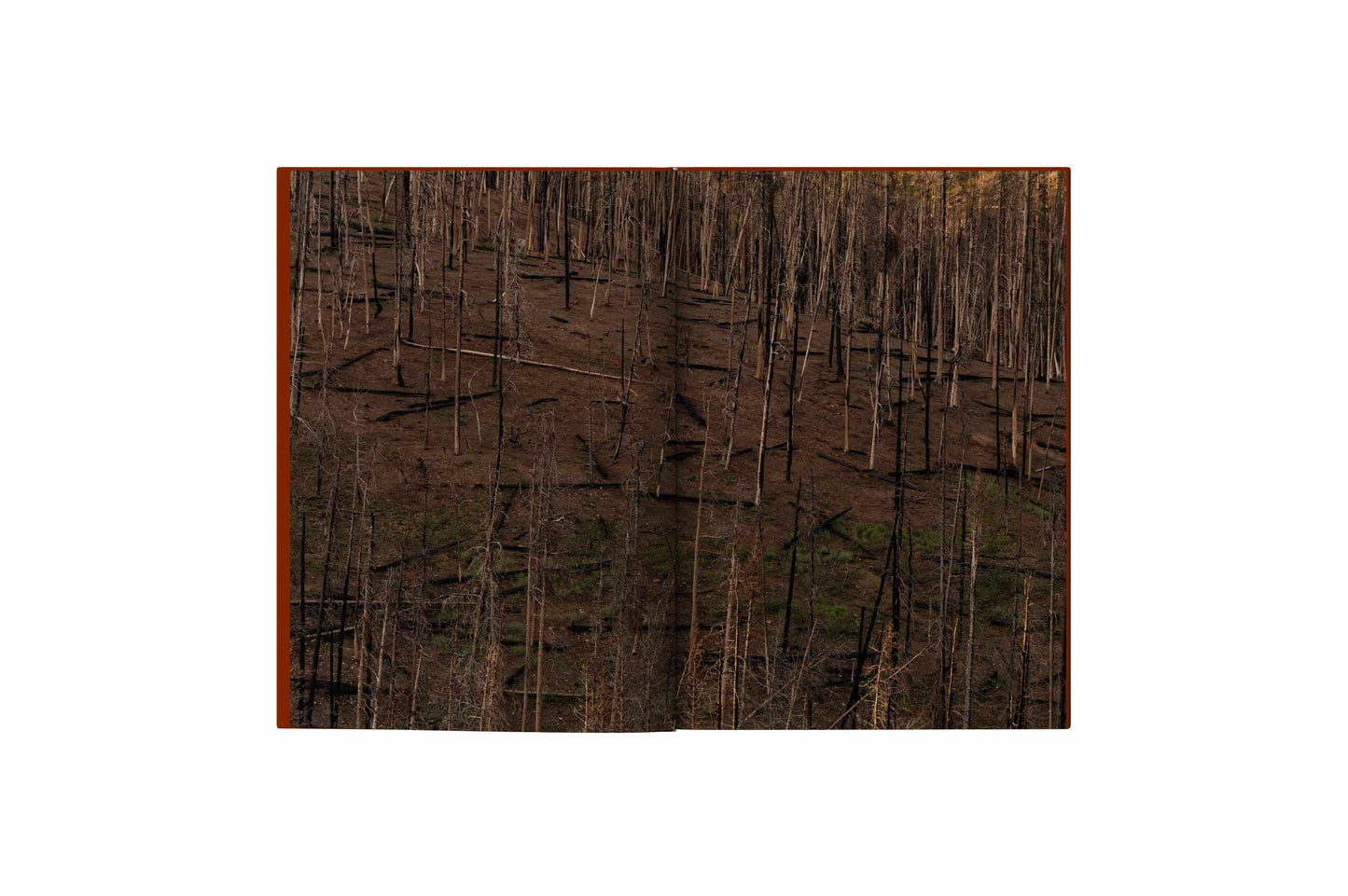 THE SUN SETS MIDAFTERNOON by Jessica Hays