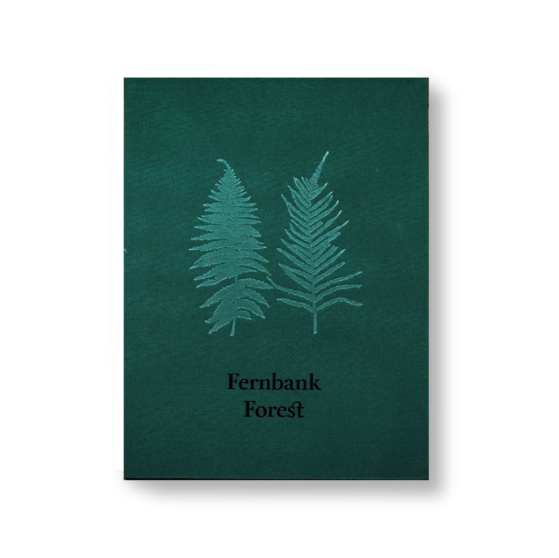 Fernbank Forest By Peter Essick