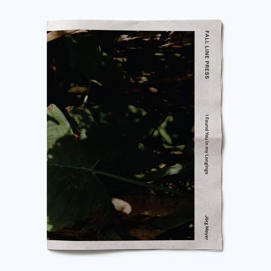 I FOUND YOU IN MY LONGINGS by Jörg Meyer