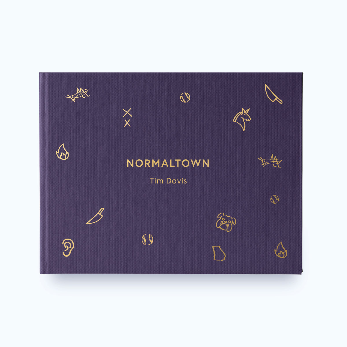 NORMALTOWN by Tim Davis