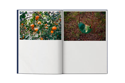 Housekeeping by Casey Joiner