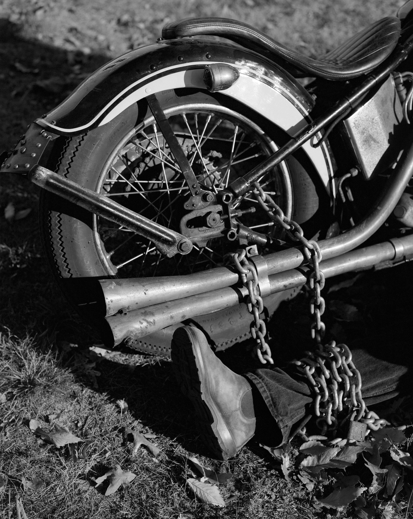 SHAKEDOWN by Liam Kennedy